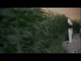 Audi A8 i Audi A8L - Trailer