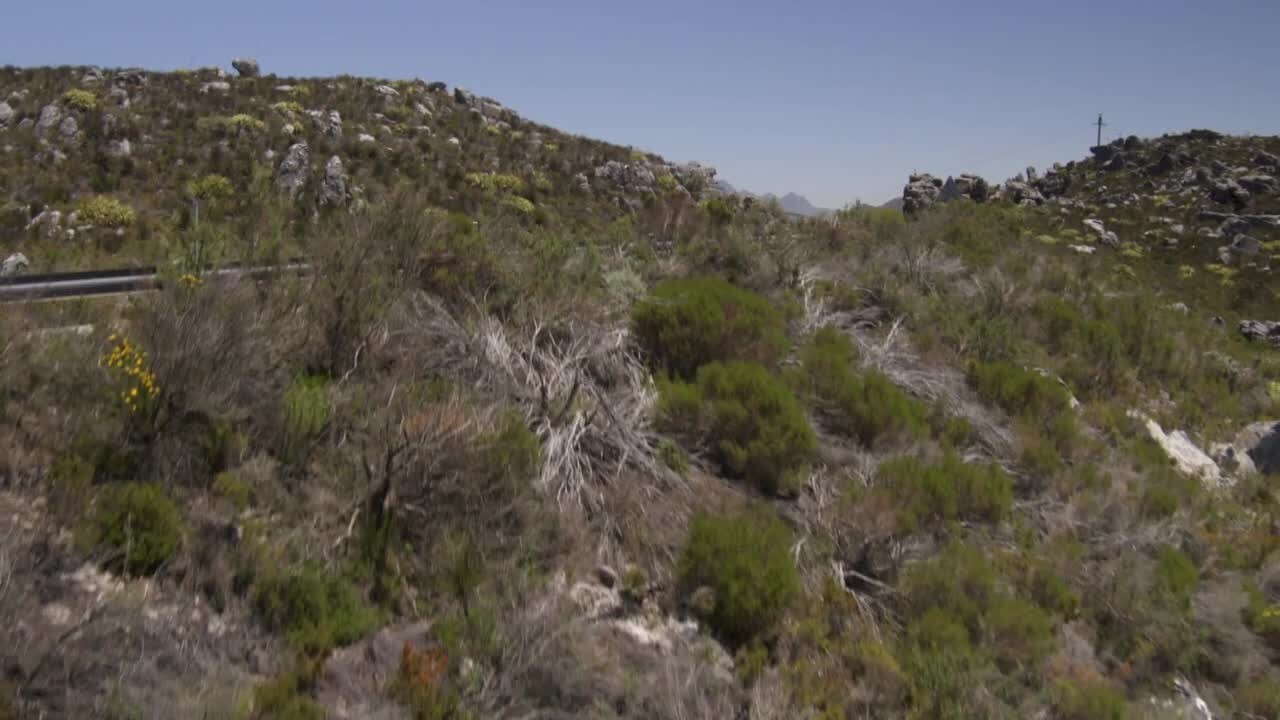 Audi Q8 - Footage