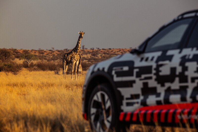 Power play: Audi e-tron, prototyp o elektryzującej dynamice