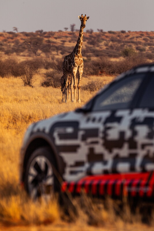 Power play: Audi e-tron, prototyp o elektryzującej dynamice