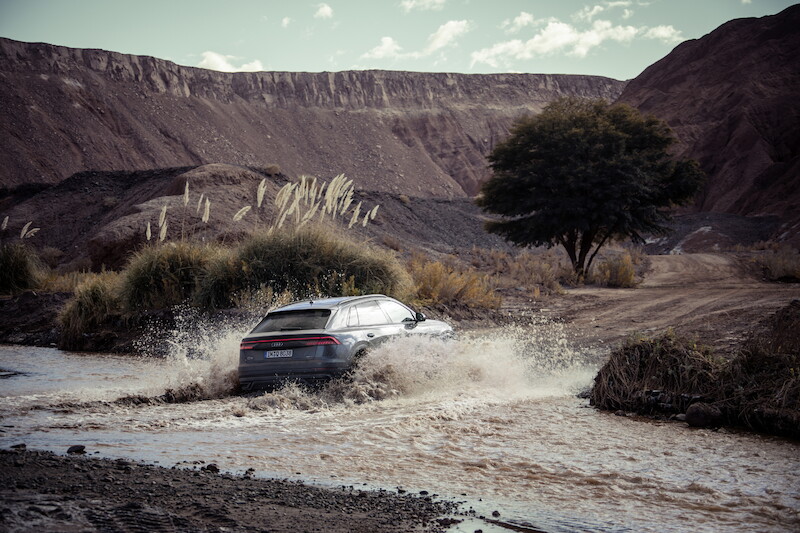 Nowe oblicze modeli rodziny Q: Audi Q8