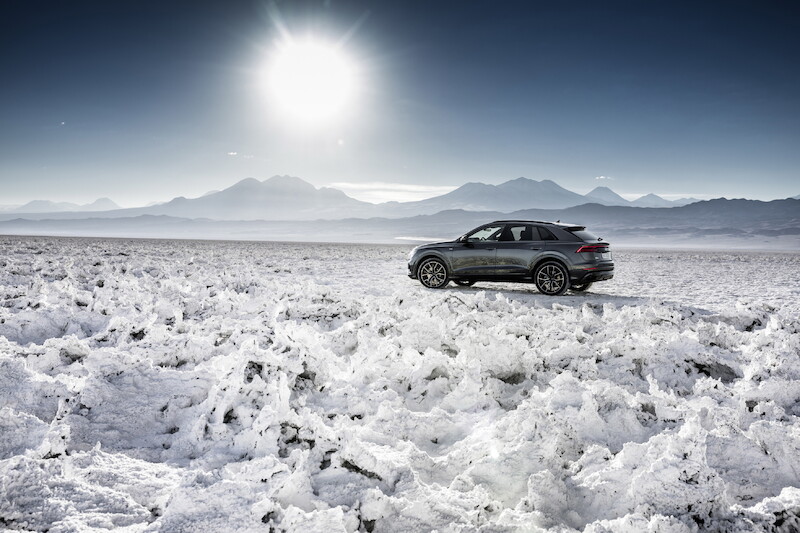 Nowe oblicze modeli rodziny Q: Audi Q8
