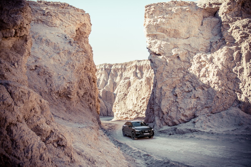 Nowe oblicze modeli rodziny Q: Audi Q8