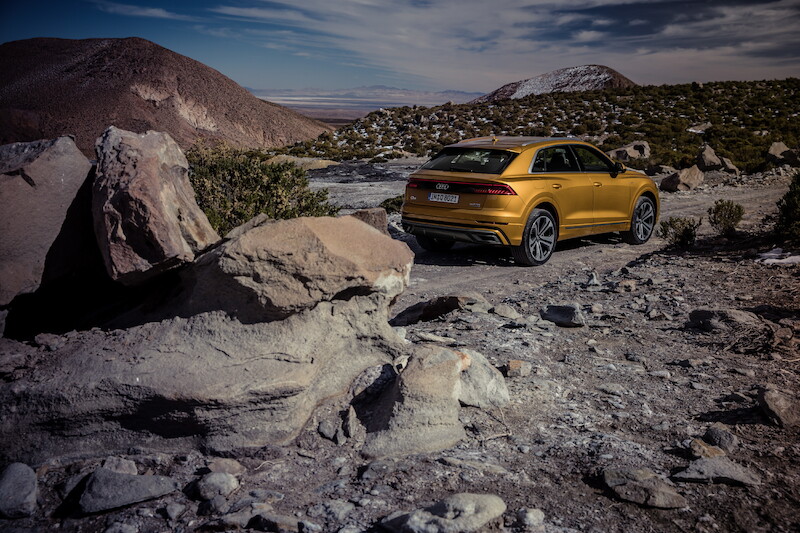 Nowe oblicze modeli rodziny Q: Audi Q8