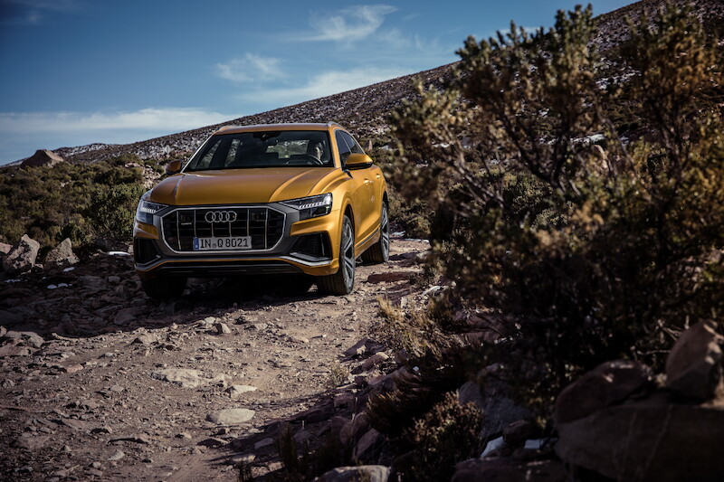 Nowe oblicze modeli rodziny Q: Audi Q8