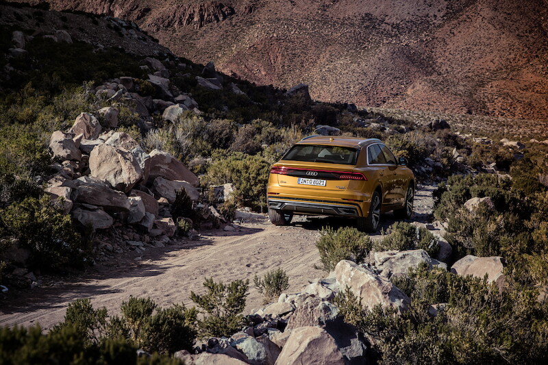Nowe oblicze modeli rodziny Q: Audi Q8