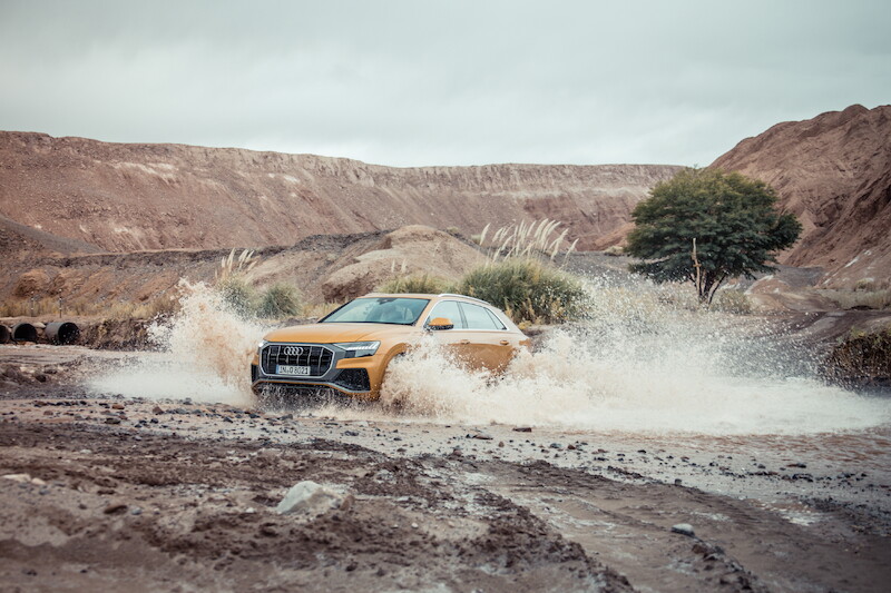 Nowe oblicze modeli rodziny Q: Audi Q8