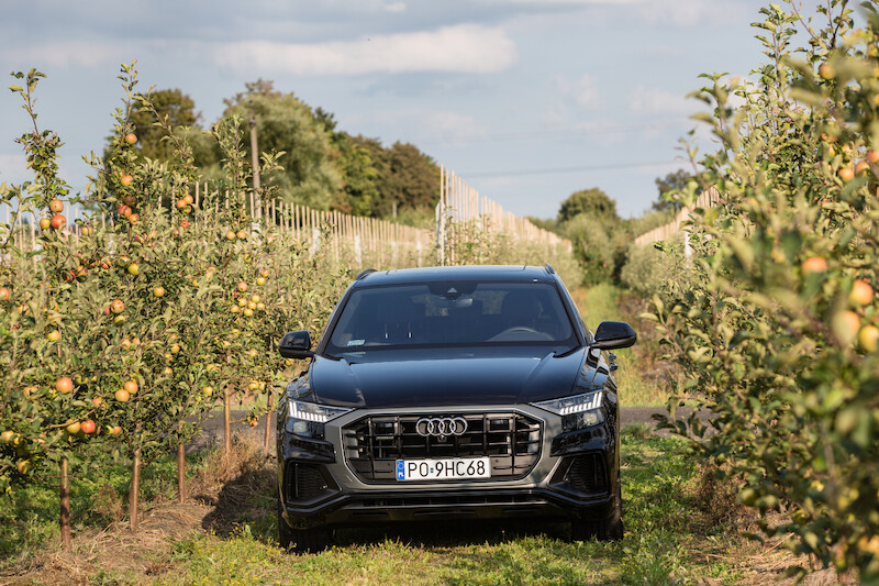 Nowe oblicze modeli rodziny Q: Audi Q8
