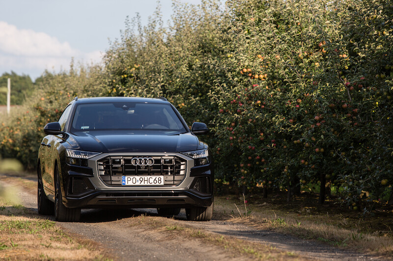 Nowe oblicze modeli rodziny Q: Audi Q8