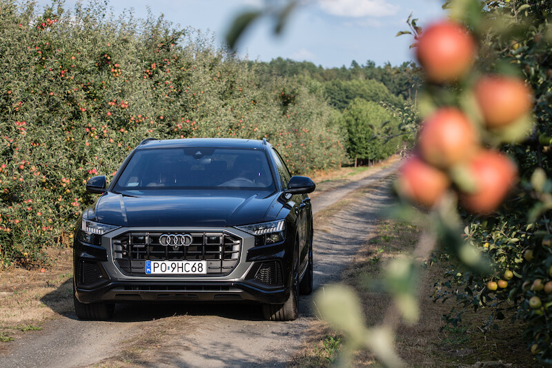 Nowe oblicze modeli rodziny Q: Audi Q8