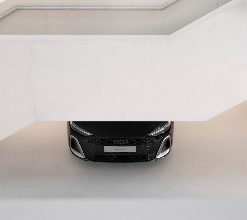 Pięć stuleci sztuki kobiet. Pierwsza tak przekrojowa prezentacja  w Polsce.  Muzeum Sztuki Nowoczesnej w Warszawie otwiera wystawę „Kwestia kobieca 1550 – 2025”, Audi jest patronem wydarzenia.