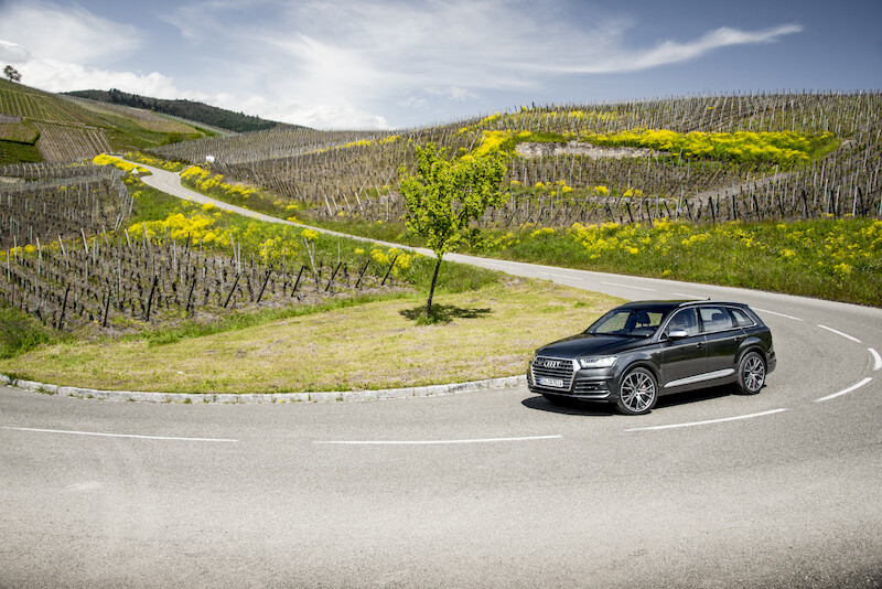Audi SQ7 - szary Daytona