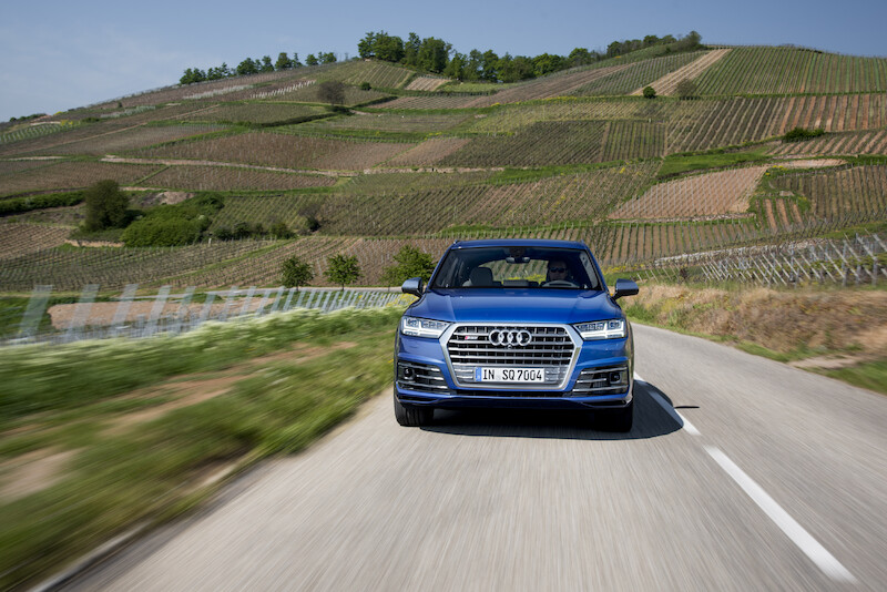 Audi SQ7 - niebieski Ara