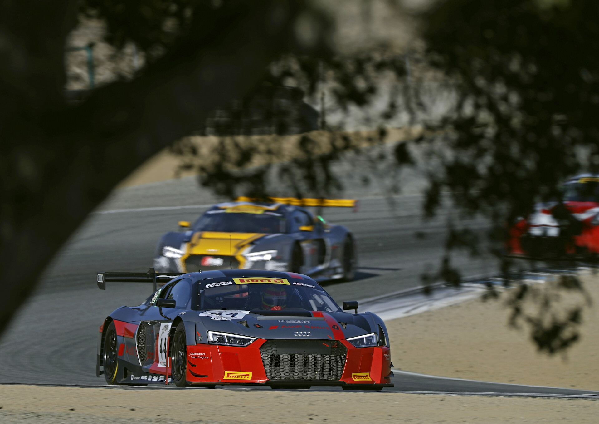 Wyjątkowy sezon: 24 tytuły dla Audi Sport Customer Racing