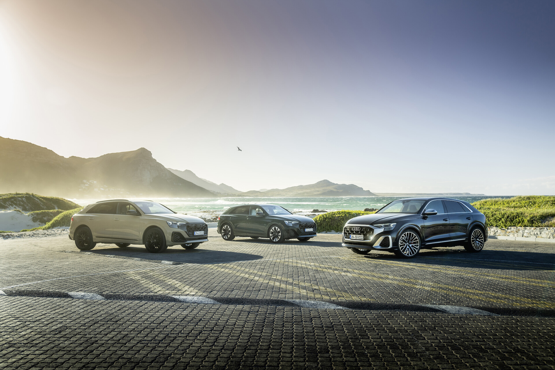 Seria Q: komfort i elegancja w formie SUV-a